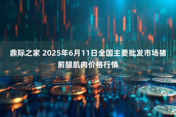 鼎际之家 2025年6月11日全国主要批发市场猪前腿肌肉价格行情