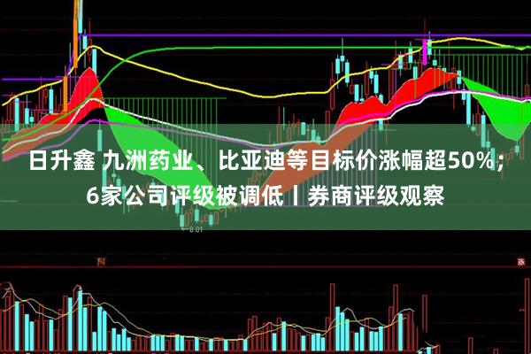 日升鑫 九洲药业、比亚迪等目标价涨幅超50%；6家公司评级被调低丨券商评级观察