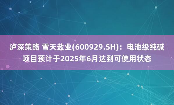 泸深策略 雪天盐业(600929.SH)：电池级纯碱项目预计于2025年6月达到可使用状态